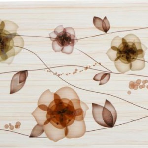 Gạch ốp tường Trường Thịnh WALL TILES Điểm YR81044BD